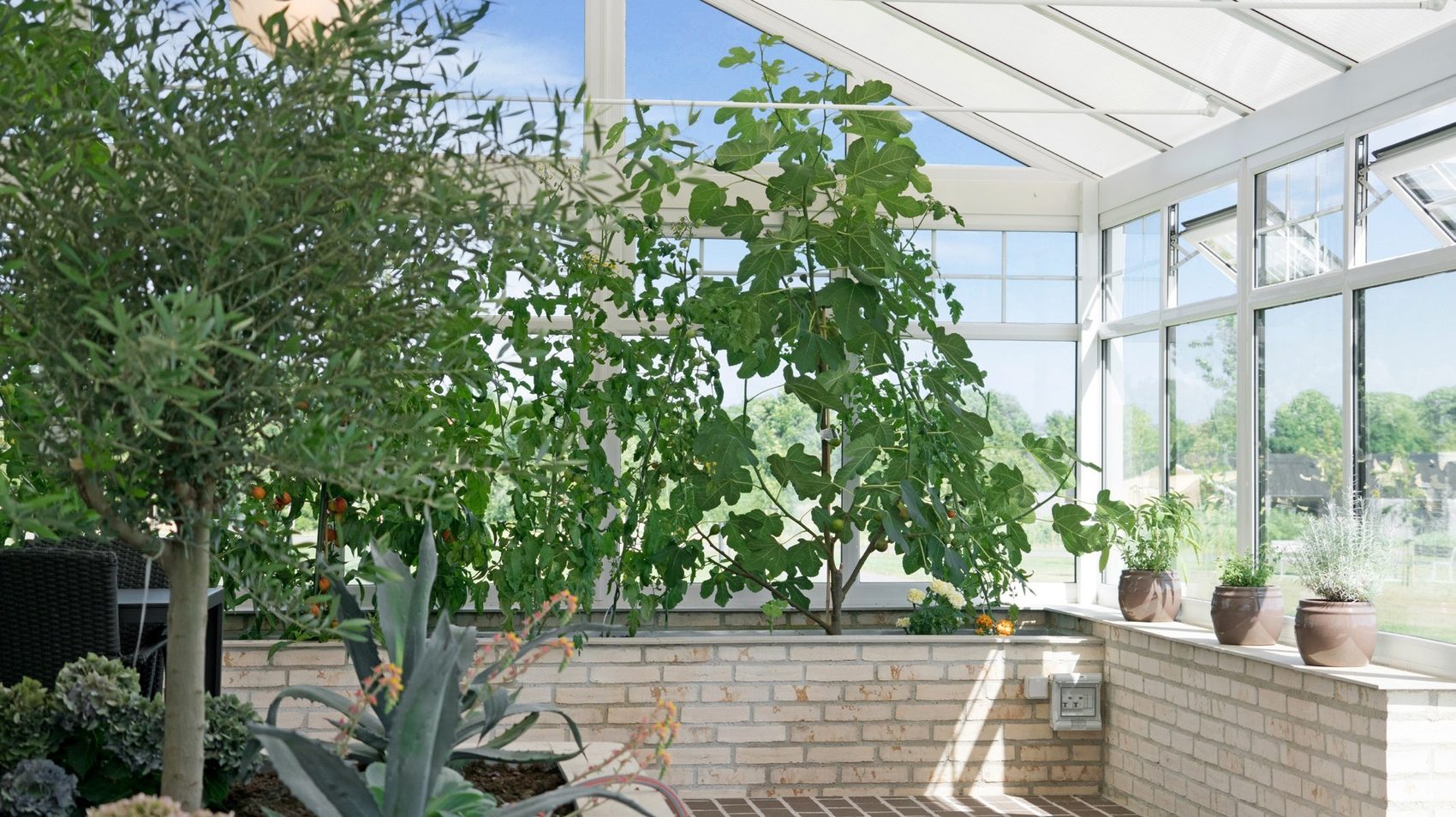 Inside a Nordic Garden Building, full of daylight and plants