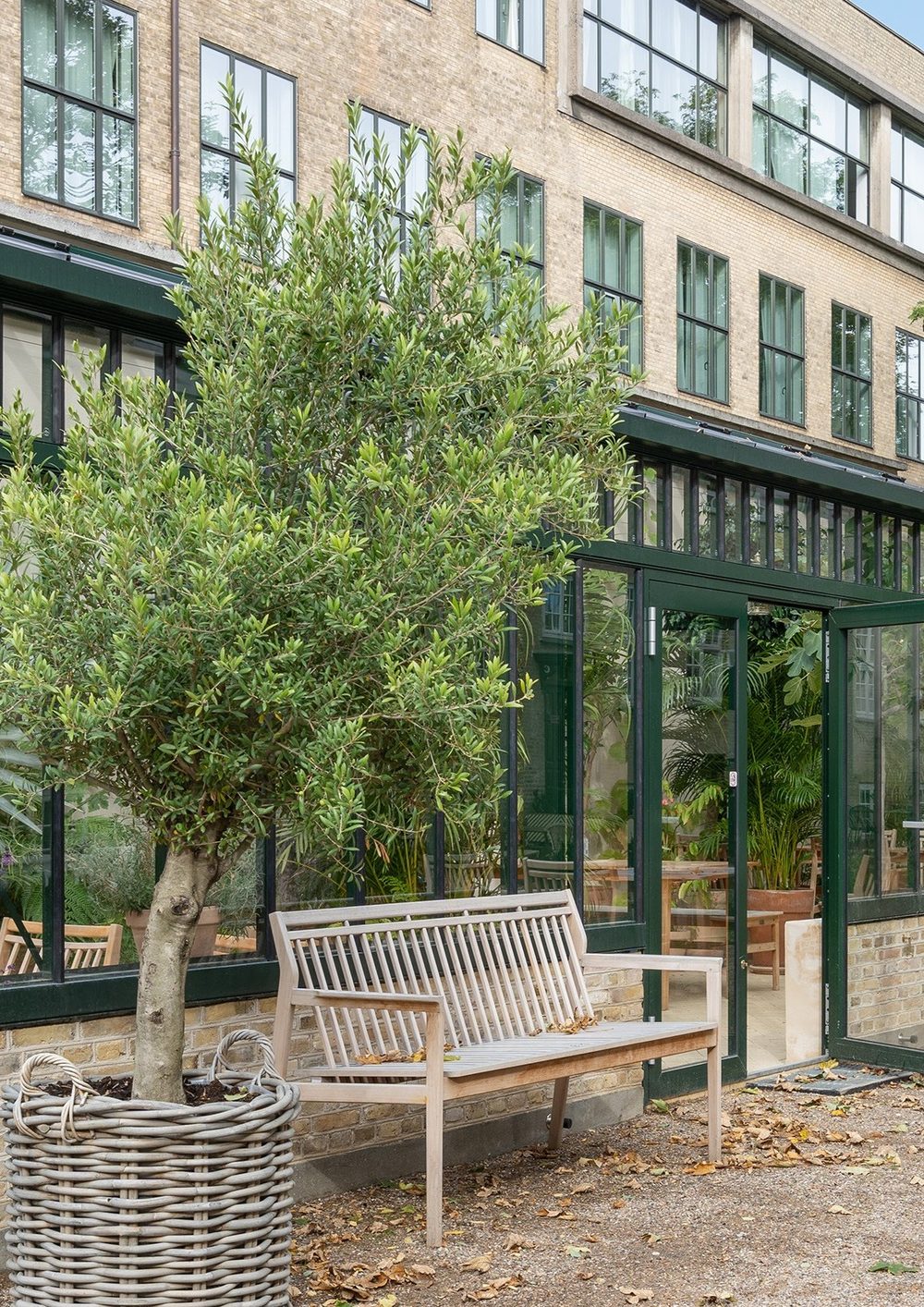 A calm, planted space suited to dementia and Parkinson's care